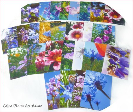 30 cartes postales de céline Photos Art Nature