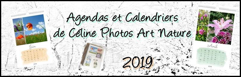 Agendas et calendriers,les modèles 2019 de Céline Photos Art Nature
