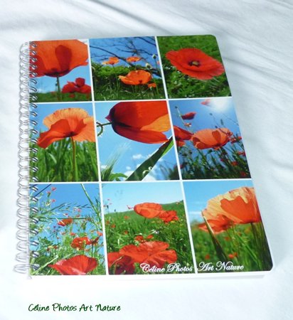 Cahier d`écriture coquelicot de Céline Photos Art Nature