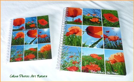 Cahier d`écriture et carnet d`adresses coquelicot de Céline Photos Art Nature 