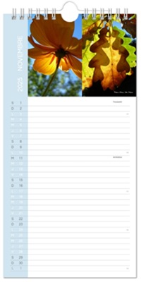 Calendrier 2025 mural 14x30cm de cuisine de Céline Photos Art Nature