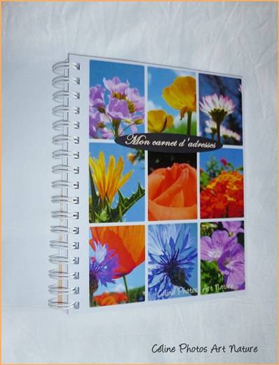 Carnet d`adresses répertoire de Céline photos Art Nature fleuri orange