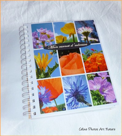 Carnet d`adresses répertoire de Céline photos Art Nature fleuri orange