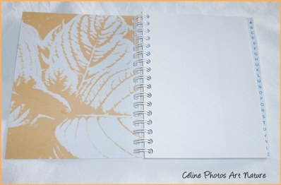 Carnet d`adresses répertoire de Céline photos Art Nature fleuri orange