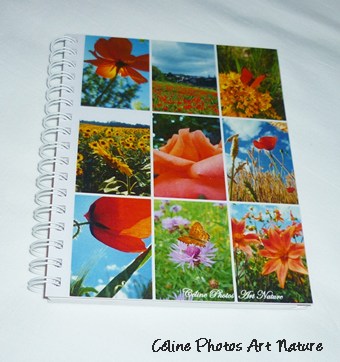 Carnet d`adresses répertoire de Céline photos Art Nature orange jaune