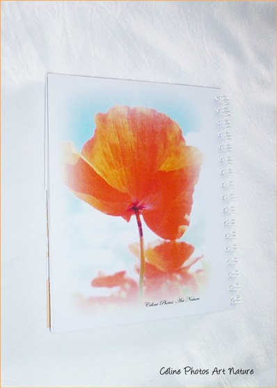 Carnet d`adresses répertoire de Céline photos Art Nature fleuri orange