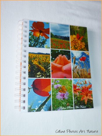 Carnet d`adresses répertoire de Céline photos Art Nature orange