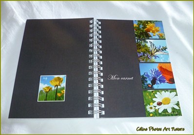 Carnet de notes de Céline Photos Art Nature