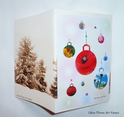 Carte double de Noël de Céline Photos Art Nature avec des boules de Noël