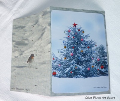 Carte double de Noël de Céline Photos Art Nature avec un sapin enneigé de Noël