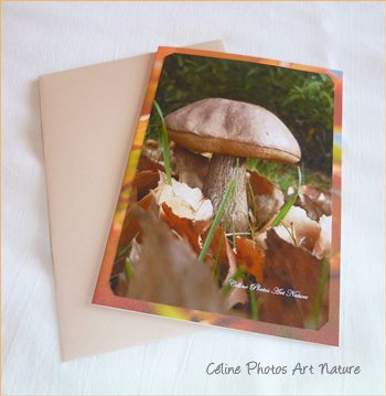 Carte champignon de Céline Photos Art Nature