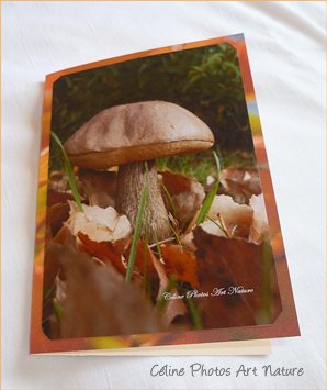 Carte champignon de Céline Photos Art Nature
