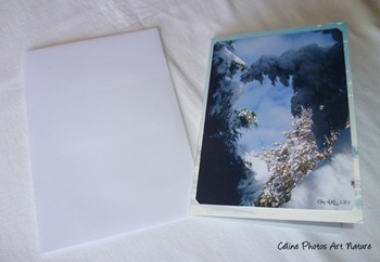 Carte double pour la Saint Valentin de Céline Photos Art Nature