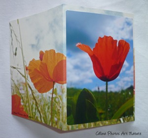 Carte double de nature avec des fleurs de coquelicots