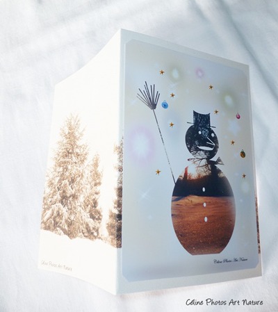 Carte double de Noël de Céline Photos Art Nature avec un bonhomme de neige.