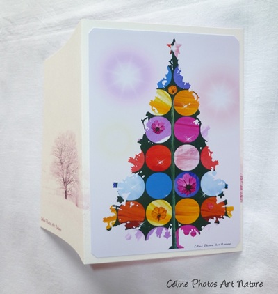 Carte de Noël de Céline Photos Art Nature avec un sapin multicolore