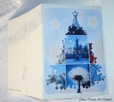 Carte double de Noël de Céline Photos Art Nature avec un sapin bleu.