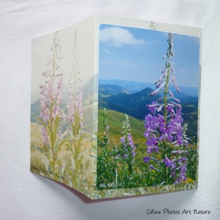 Carte double de nature faite main avec des fleurs roses d`Auvergne