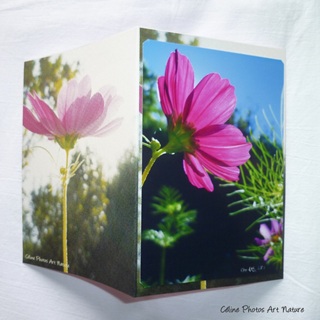 Carte double de nature faite main avec des cosmos fuchsia