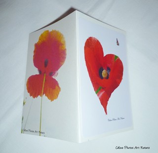 Carte double avec un coeur coquelicot de Céline Photos Art Nature