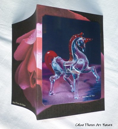 Carte double avec une licorne de Céline Photos Art Nature