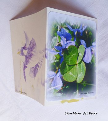 Carte double personnalisable de Céline Photos Art Nature avec des fleurs de violettes 