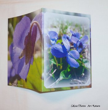 Carte double personnalisable de Céline Photos Art Nature avec des fleurs de violettes 