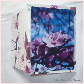 Carte double personnalisable de Céline Photos Art Nature avec des fleurs du printemps 2014