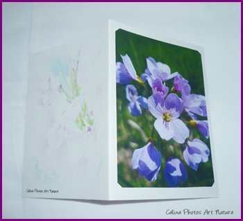 Carte double personnalisable de Céline Photos Art Nature avec des fleurs du printemps 2014