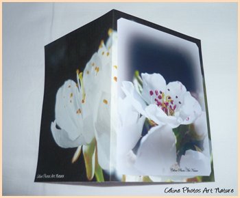 Carte double personnalisable de Céline Photos Art Nature avec des fleurs du printemps 2014