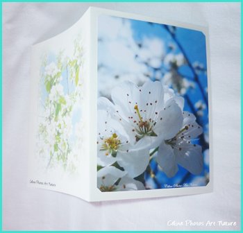 Carte double personnalisable de Céline Photos Art Nature avec des fleurs du printemps 2014