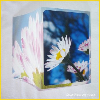 Carte double personnalisable de Céline Photos Art Nature avec des fleurs du printemps 2014