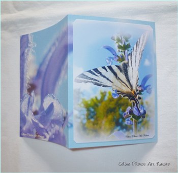 Carte double personnalisable de Céline Photos Art Nature printemps 2014 avec un papillon