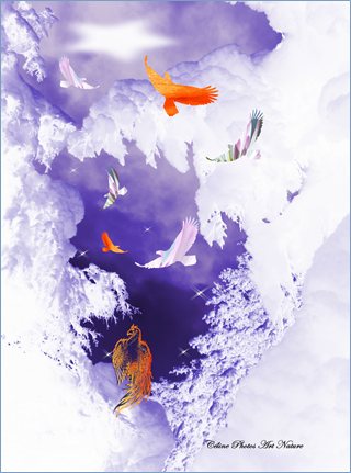 Carte double sur le mythe du Phoenix de Céline Photos Art Nature