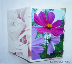 Carte double de nature rose faite main avec des cosmos fuchsia