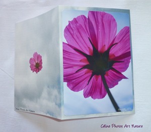 Carte faite main avec un cosmos fuchsia sur ciel nuageux