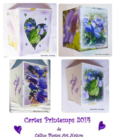 Cartes doubles personnalisables avec des fleurs de violettes de Céline Photos Art Nature