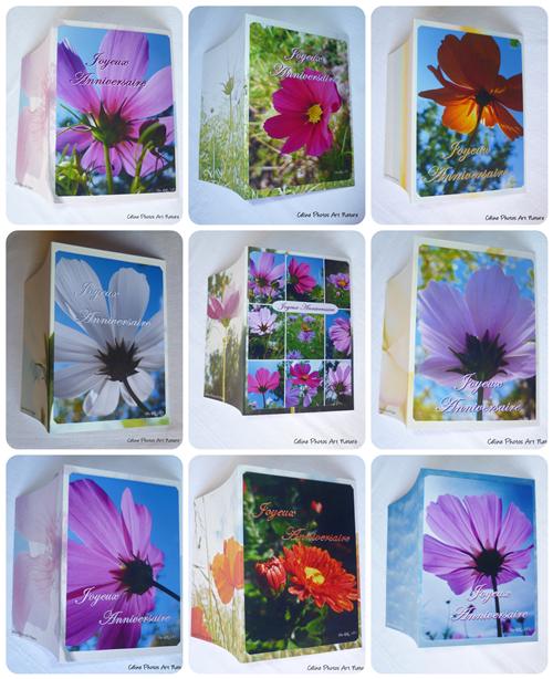 Cartes doubles d`anniversaire de Céline Photos Art Nature 2014 fleuries 