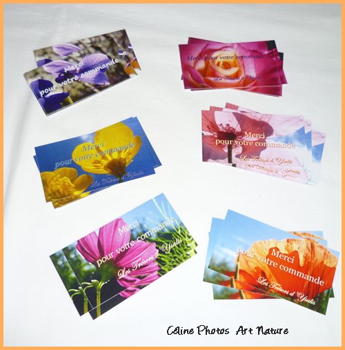 Cartes de remerciements personnalisées de Céline Photos Art Nature