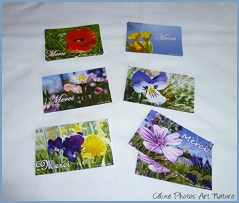 Cartes de remerciements fleuries de Céline Photos Art Nature