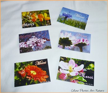 Cartes de remerciements fleuries de Céline Photos Art Nature