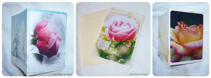 Cartes doubles pour la Saint Valentin de Céline Photos Art Nature