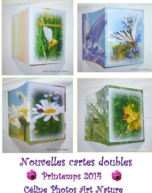 Combinaison des nouvelles cartes doubles du printemps 2014 de Céline Photos Art Nature faites main et personnalisables avec des photos de papillons et de coccinelles du printemps 2014.