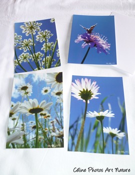 Lot de 4 cartes postales de Céline Photos Art Nature sur l`été et ses fleurs dans une harmonie de bleus .