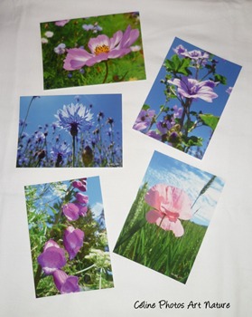 Lot de 5 cartes postales de Céline Photos Art Nature sur l`été et ses fleurs