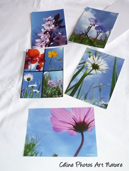 Lot de 5 cartes postales de Céline Photos Art Nature sur l`été et ses fleurs des champs