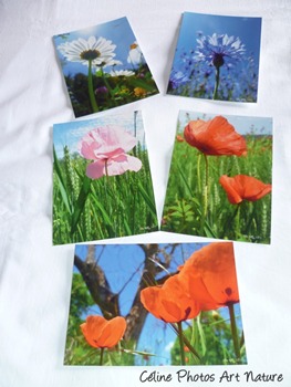 Lot de 5 cartes postales de Céline Photos Art Nature sur l`été