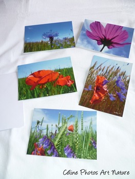 Lot de 5 cartes postales de Céline Photos Art Nature sur l`été et ses couleurs