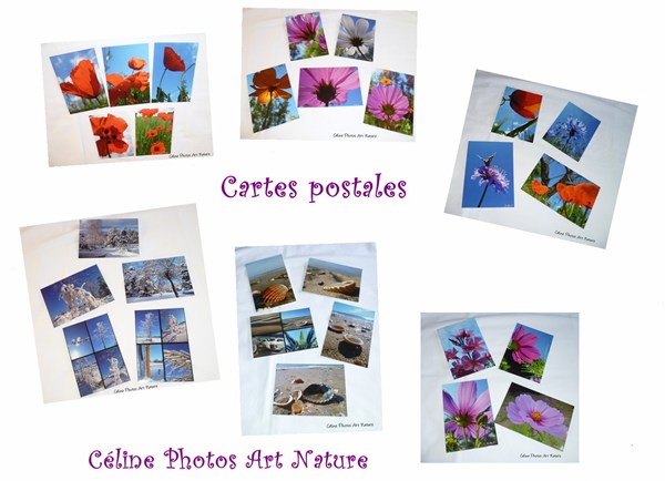 Cartes postales 2014 de Céline Photos Art Nature