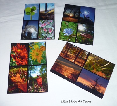 Cartes postales automne de Céline Photos Art Nature